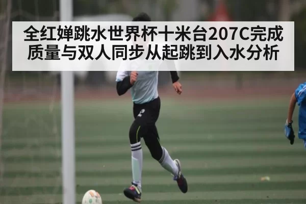 全红婵跳水世界杯十米台207C完成质量与双人同步从起跳到入水分析